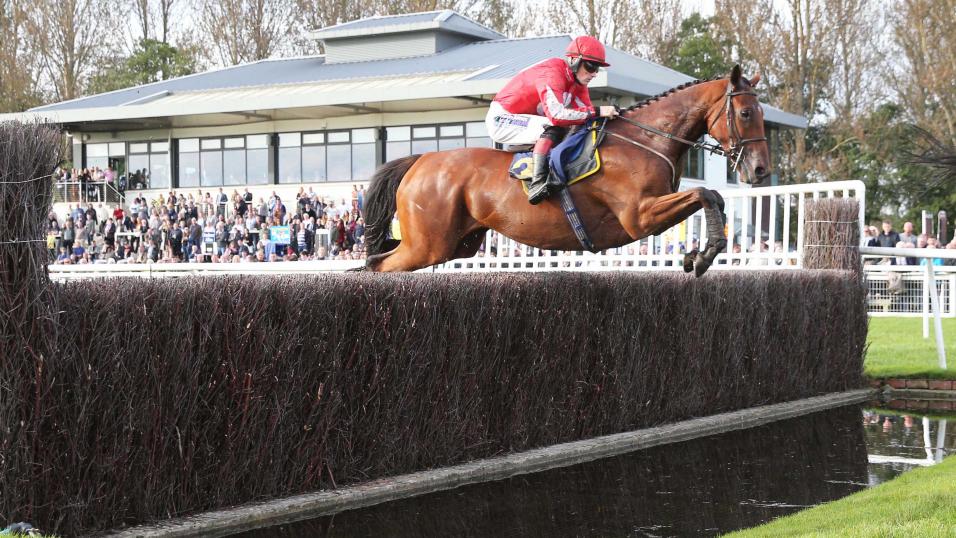Horse jumping